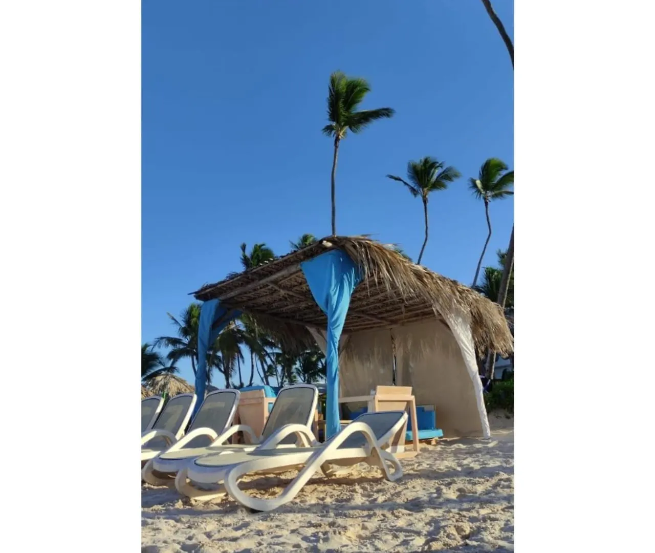 Escapada En Bavaro, Vista Piscina, Playa Los Corales A Solo Pasos Punta Cana Lägenhet